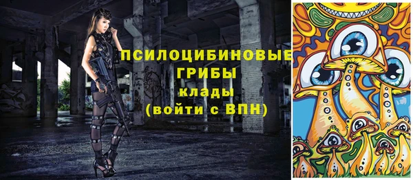 ГАЛЛЮЦИНОГЕННЫЕ ГРИБЫ Иннополис