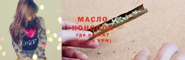 тгк Инсар