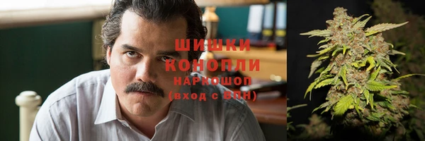 ГАЛЛЮЦИНОГЕННЫЕ ГРИБЫ Иннополис
