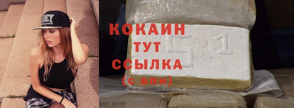 тгк Инсар