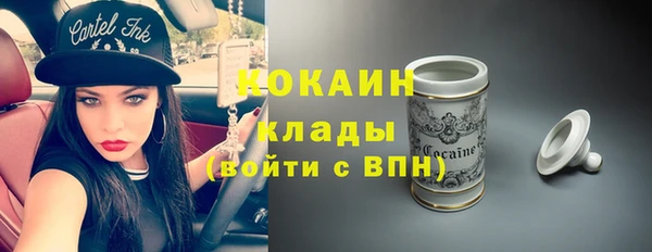 тгк Инсар