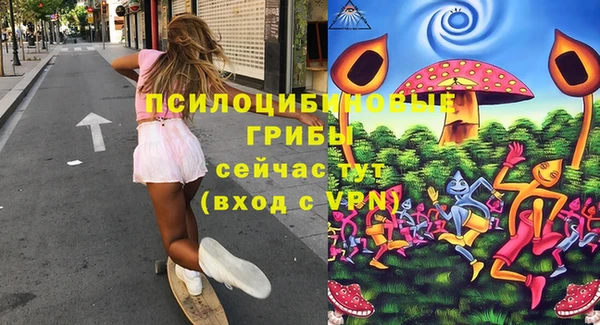 тгк Инсар