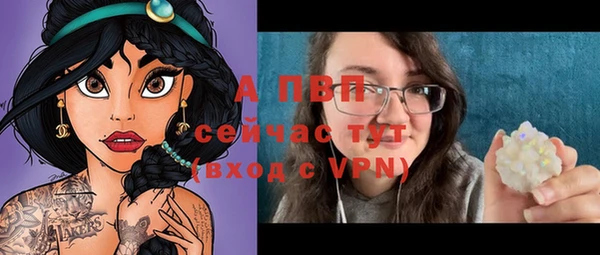 ГАЛЛЮЦИНОГЕННЫЕ ГРИБЫ Иннополис
