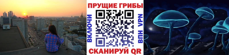 Галлюциногенные грибы прущие грибы  Купить закладки  Вихоревка 